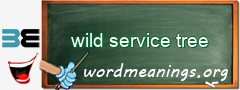 WordMeaning blackboard for wild service tree